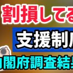 ９割以上が知らない政府の支援策多数！5月14日公表の内閣府の調査結果から紹介【中小企業診断士YouTuber マキノヤ先生　 牧野谷輝】第722回