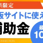 愛媛県の飲食店向け補助金、通販サイト・ECサイトに使える