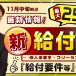 【11月14日時点 最新情報】『新・給付金』最大250万円～給付要件等, 21年度中に支給開始予定