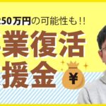 コロナで売上減の中小企業・個人事業・フリーランスは対象になるかも？