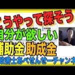 【補助金プロ解説】誰でも簡単にできる！自分が欲しい補助金・助成金の探し方　行政書士あべせんせーチャンネル