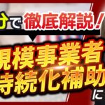 【補助金】小規模事業者持続化補助金を1から10まで徹底解説