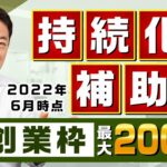 【持続化補助金 創業枠 最大200万円】申請の要点 / 認定創業支援等事業 / 証明書の発行対象 / 補助対象経費 / 皆さまからのQ&Aなど〈22年6月時点〉