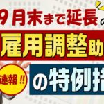 【再延長!! 雇調金 9月末まで】金額と支給対象 / 政府方針 / 特例措置 / 原油高を考慮 / 支給対象 / 不正受給は立入調査 等〈2022年6月時点〉