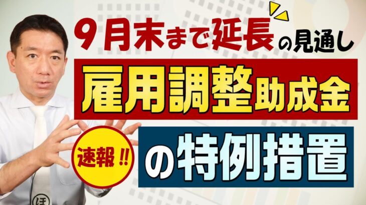 【再延長!! 雇調金 9月末まで】金額と支給対象 / 政府方針 / 特例措置 / 原油高を考慮 / 支給対象 / 不正受給は立入調査 等〈2022年6月時点〉