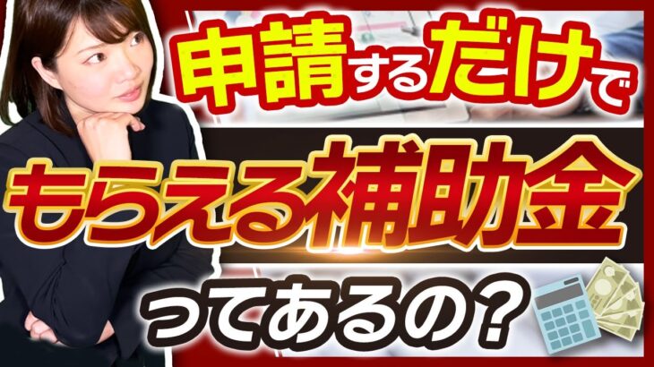 【補助金】申請するだけでもらえる補助金の正体に迫る【暴露】