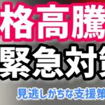 物価高騰対策の支援様々！内閣府物価賃金生活総合対策本部の会議情報も！輸入小麦等食品原材料価格高騰緊急対策・食品製造イノベーション推進生産性向上補助金【中小企業診断士マキノヤ先生】第1158回