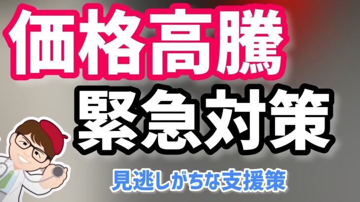 物価高騰対策の支援様々！内閣府物価賃金生活総合対策本部の会議情報も！輸入小麦等食品原材料価格高騰緊急対策・食品製造イノベーション推進生産性向上補助金【中小企業診断士マキノヤ先生】第1158回