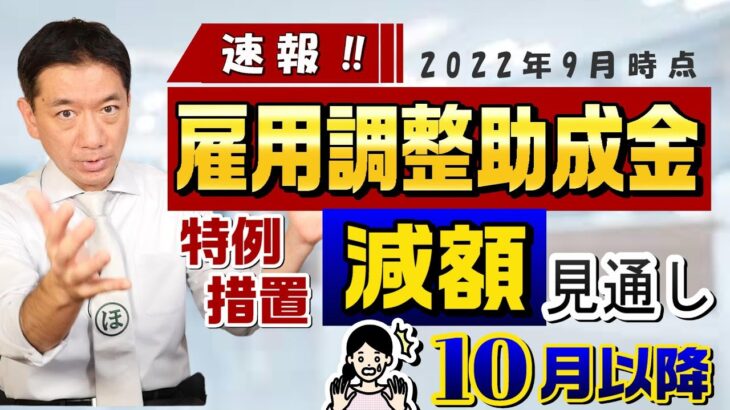 【速報!! 減額 : 雇調金】10月以降の見通し / 特例措置 / 支給対象 / 助成対象の労働者 / 不正受給は立入調査 等〈2022年9月時点〉