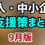 9月版最新！個人事業主・フリーランス・中小企業法人向け補助金・助成金・支援策等経済産業省・内閣官房資料と公式ガイドブック2022版について【中小企業診断士YouTuber マキノヤ先生】第1179回