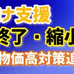 ２年以上続いた支援策終了へ！物価高騰対策へ支援の軸足移る！ゼロゼロ融資・無担保無保証・感染症特別貸付・特別利子補給制度の今後・日本政策金融公庫【中小企業診断士YouTuberマキノヤ先生】第1180回