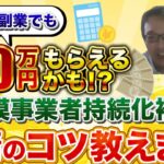 【個人事業主必見】物販に使える小規模事業者持続化補助金を通りやすくするコツ