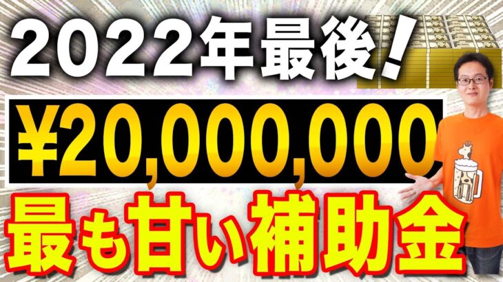 採択基準甘すぎ！誰でも貰える2000万円の補助金が甘すぎる！【2022年最後、法人・経営者・個人事業主】