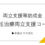 両立支援等助成金（不妊治療両立支援コース）申請までの流れ