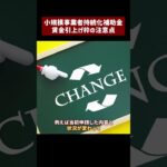 【小規模事業者持続化補助金】賃金引上げ枠で申請・採択された場合の【注意点】#shorts