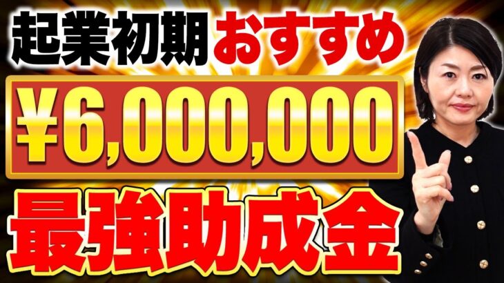【2024年版】起業時におすすめ！MAX600万円手に入る助成金！