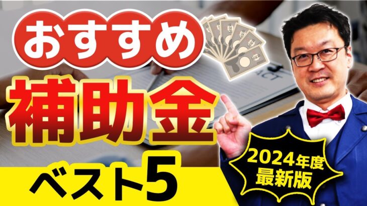 【最新版】2024年は「この補助金」がめちゃくちゃアツいです！申請できなくなる前に絶対に見てください！