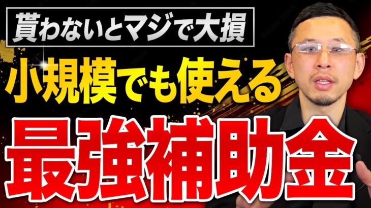 【個人事業・経営者必見】250万円も貰える超お得な補助金があります。お金に困ってるなら絶対活用してください！