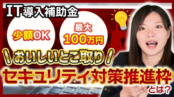 【IT導入補助金】加点も受けられて補助金ももらえる!?セキュリティ対策推進枠とは？