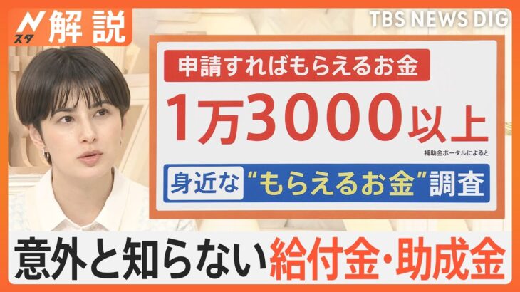 意外な“給付金・補助金”　申請でもらえる場合も【Nスタ解説】｜TBS NEWS DIG