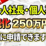 【スマホ申請OK！】こんなに簡単！従業員0でも貰える最大250万円の「持続化補助金」！今すぐに申請してください！