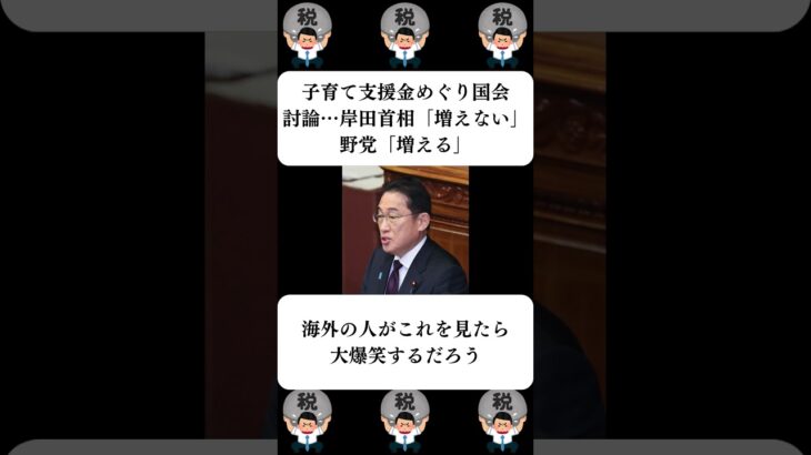 『子育て支援金めぐり国会討論…岸田首相「増えない」野党「増える」』に対する世間の反応