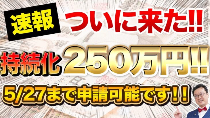 【速報】ついに始まる！従業員0でも250万円もらえる「持続化補助金」は今すぐ申請してください！