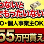 【最新版】2024年は「この補助金」がめちゃくちゃアツいです！申請できなくなる前に絶対に見てください！