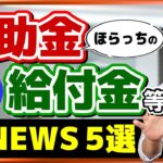 【5月度 補助金・給付金 ニュース５選】特例貸付 回収不能の可能性/ 企業倒産 1万件超の見通し/ インボイス 9割超が廃止・見直し要請/ 自治体の「終活」支援/ 持続化給付金 通報窓口（24年5月）