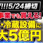 【冷凍冷蔵設備の補助金】個人事業から法人まで申請できて最大5億円補助が出るので対象事業者さんは知らないと大損です