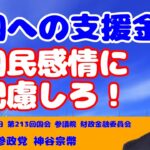 【参政党】神谷宗幣議員 「外国への支援金 国民感情に配慮しろ！」 参議院 財政金融委員会 令和6年3月12日（字幕付き）