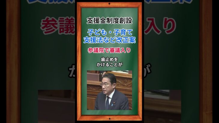 ［支援金制度創設］ 子ども・子育て支援法など改正案、参議院で審議入り