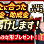 【知らなきゃ損！】待望の補助金・助成金情報を配信するアプリが出来ました【プレゼントあり】