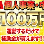 【速報】なんと最大100万円も貰える超ヤバい補助金が新登場！この動画を見たら今すぐ申請してください！