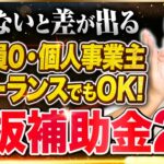 【2024年後半版】個人事業主、従業員0でも貰える鉄板補助金2選/フリーランス･一人社長･中小企業経営者も超必見の小規模事業者持続化補助金とIT導入補助金/中小企業診断士が解説