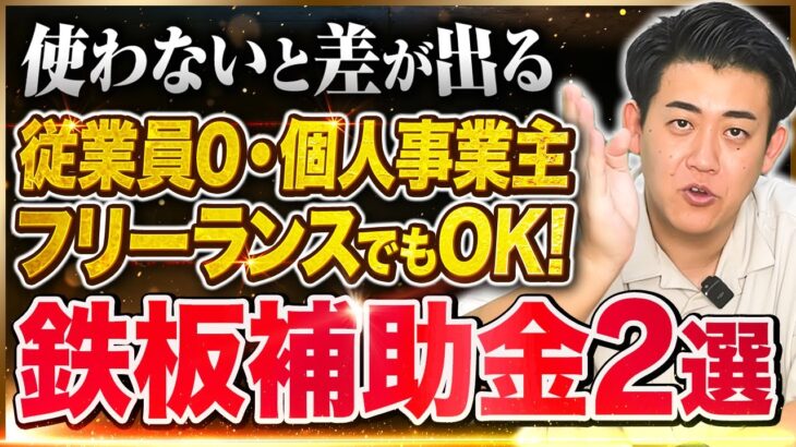 【2024年後半版】個人事業主、従業員0でも貰える鉄板補助金2選/フリーランス･一人社長･中小企業経営者も超必見の小規模事業者持続化補助金とIT導入補助金/中小企業診断士が解説