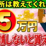 【超最新!!】2024年6月に給付スタート！年収100～500万円の方必見！超簡単な申請方法で4万円を5万円に増やす方法！【定額減税4万円/対象者･いつから/調整･補足給付/年金受給者･個人事業主】