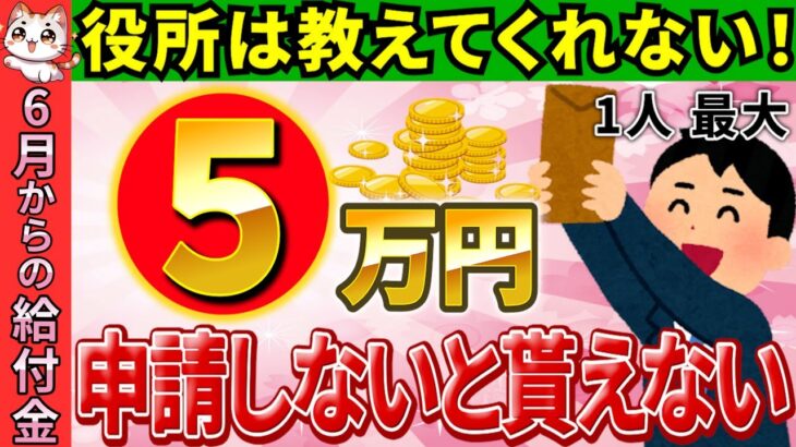 【超最新!!】2024年6月に給付スタート！年収100～500万円の方必見！超簡単な申請方法で4万円を5万円に増やす方法！【定額減税4万円/対象者･いつから/調整･補足給付/年金受給者･個人事業主】