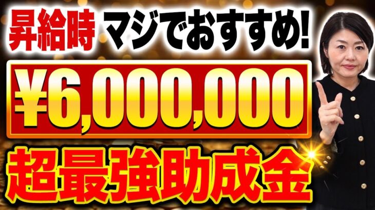 【経営者必見！】最大600万円対象になる驚愕の助成金とは