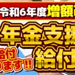 【補足給付あり!! R6年度の増額金】年金支援給付金/ 老齢・障害・遺族年金給付の改定額/ 補足給付の具体的な支給要件と手続き/ 補聴器の購入補助/厚労省支援/ 詐欺に注意 等〈24年6月時点〉