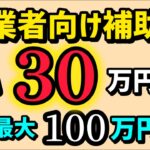 ３０万円１００万円・個人事業主・中小企業対象・厚生労働省の事業者向け補助金・毎月締切あり・エイジフレンドリー補助金・締切10月末まで【中小企業診断士YouTuber マキノヤ先生】1847回