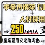 【最大250万円助成】補助金＋人材採用で産業雇用安定助成金を受け取る！【事業再構築/もの補助/採用/雇用/雇入】