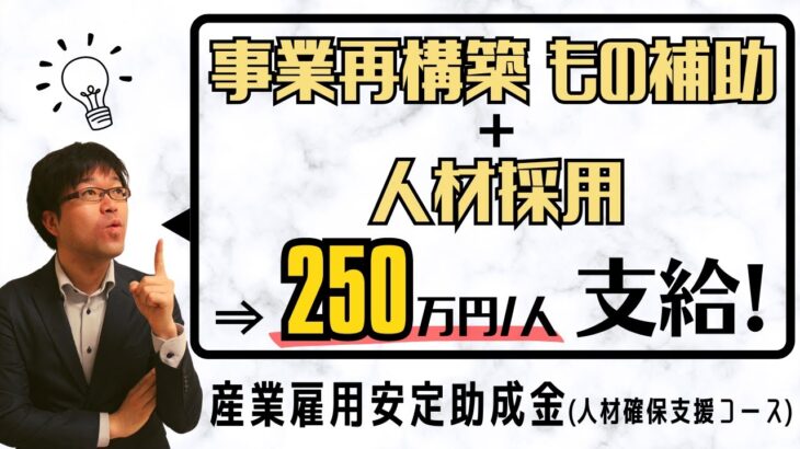 【最大250万円助成】補助金＋人材採用で産業雇用安定助成金を受け取る！【事業再構築/もの補助/採用/雇用/雇入】