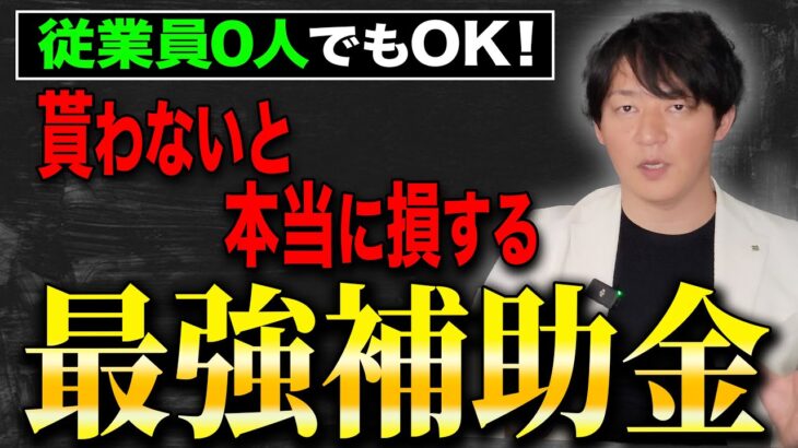 【最大250万円】一人社長でも貰える激アツ補助金3選をプロが分かりやすく解説します！【小規模事業者】