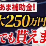 【やらなきゃ損】採択率60%超え！個人事業主・1人社長OKのヤバい補助金について徹底解説します