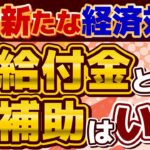 【続報!! 新たな給付金・補助金】電気・ガス補助 8-10月/ 追加の給付金は総裁選後/ 低所得・年金生活世帯等を対象/ 首相交代したらどうなる？/ 厚労省支援/ 詐欺注意 等 ≪R6,7/3 時点≫