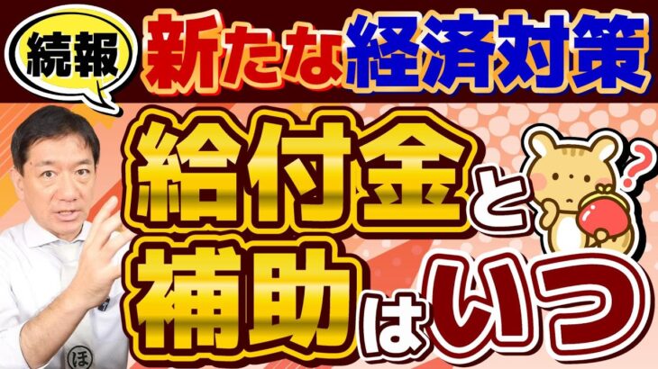 【続報!! 新たな給付金・補助金】電気・ガス補助 8-10月/ 追加の給付金は総裁選後/ 低所得・年金生活世帯等を対象/ 首相交代したらどうなる？/ 厚労省支援/ 詐欺注意 等 ≪R6,7/3 時点≫