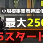 【緊急速報】8/5スタート⁈個人事業主・1人社長・中小企業・従業員0名・創業期でも最大２５０万円貰える最強補助金の最新情報です。