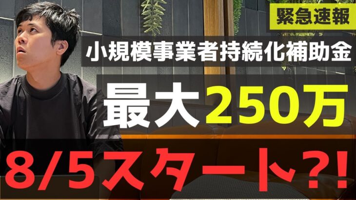 【緊急速報】8/5スタート⁈個人事業主・1人社長・中小企業・従業員0名・創業期でも最大２５０万円貰える最強補助金の最新情報です。