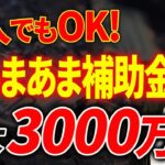 【やらなきゃ損！】一人でもOK！最大3000万円以上もらえる超ゆるゆるの補助金について税理士が解説します